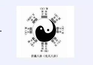 爆料八卦类小说推荐最新,神秘总裁的禁忌爱恋