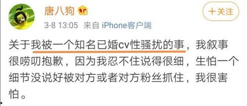 最新龙吟爆料消息是真的吗,最新消息真实性揭秘